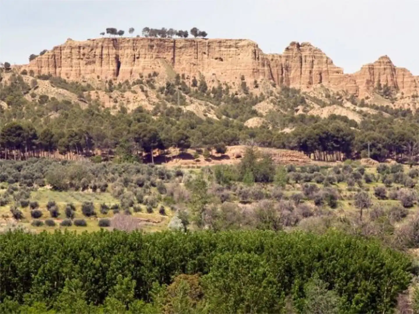 Vista exterior de Casa o chalet en venta en Valle del Zalabí con Jardín privado, Trastero y Amueblado