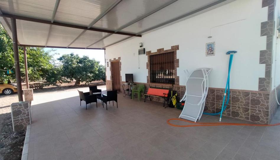 Finca rústica en venda a Carretera de la Estación, 32, Marmolejo, Jaén - imatge 1 Foto 1 de Finca rústica en venda a Carretera de la Estación, 32, Marmolejo, Jaén