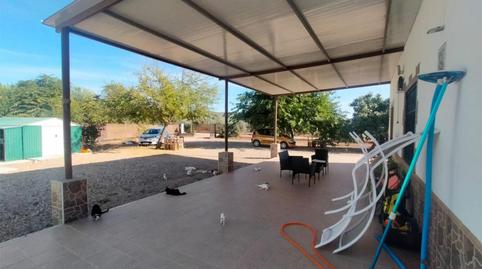 Finca rústica en venda a Carretera de la Estación, 32, Marmolejo, Jaén - imatge 3 Foto 3 de Finca rústica en venda a Carretera de la Estación, 32, Marmolejo, Jaén