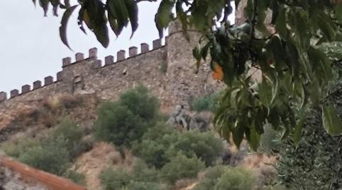 Photo 3 of Planta baja for sale in Calle Laderas, 6, Alconchel, Badajoz