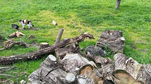 Loft per a compartir a Estrada Cambre, 19, Cambre , A Coruña - imatge 5 Foto 5 de Loft per a compartir a Estrada Cambre, 19, Cambre , A Coruña