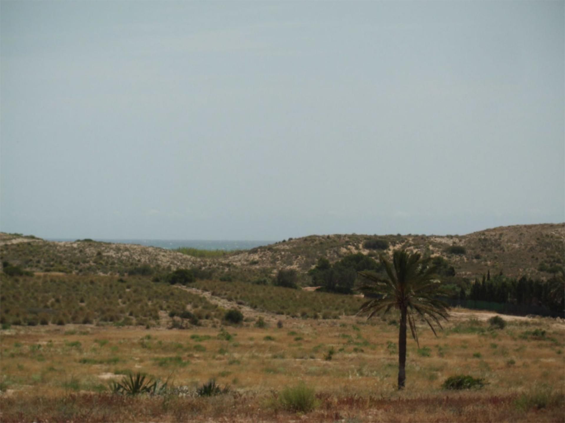 Country house to rent in Elche / Elx