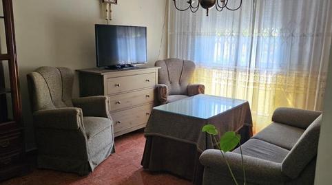 Foto 3 de Pis de lloguer a Calle Doctor Marañón, 6, La Plata, Cádiz