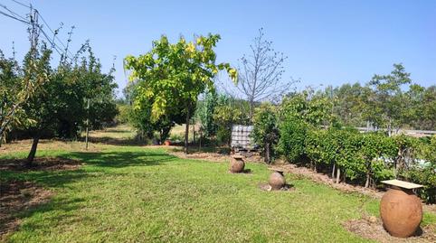 Photo 4 of House or chalet for sale in Ex-382, 11, Alcuéscar, Cáceres