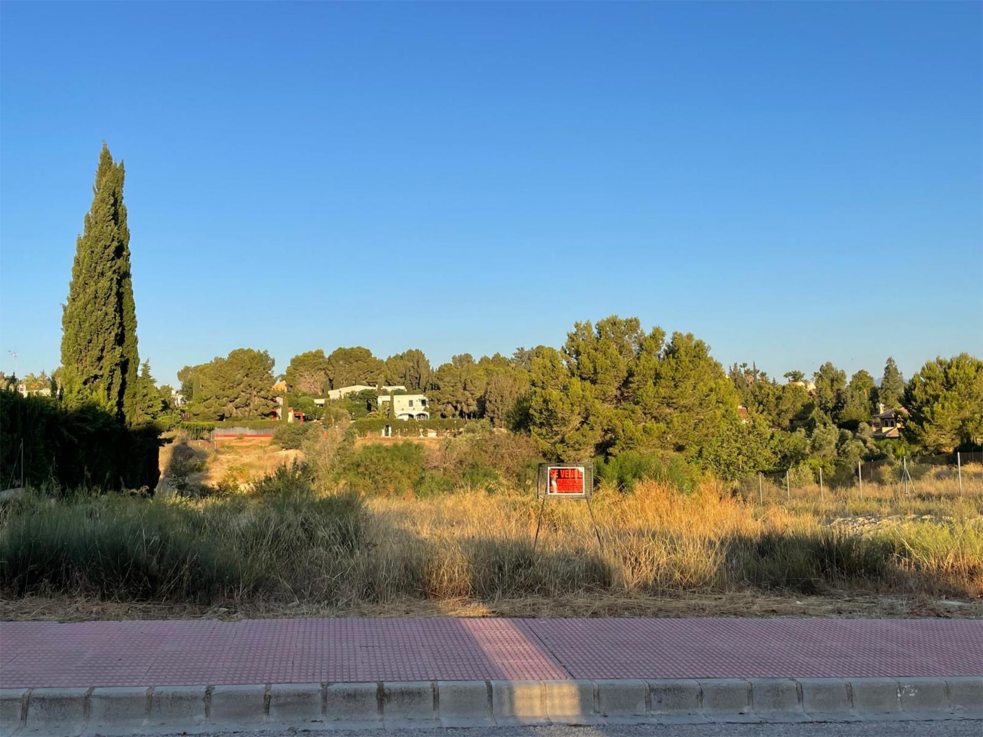 Terreno en venta en Molina de Segura