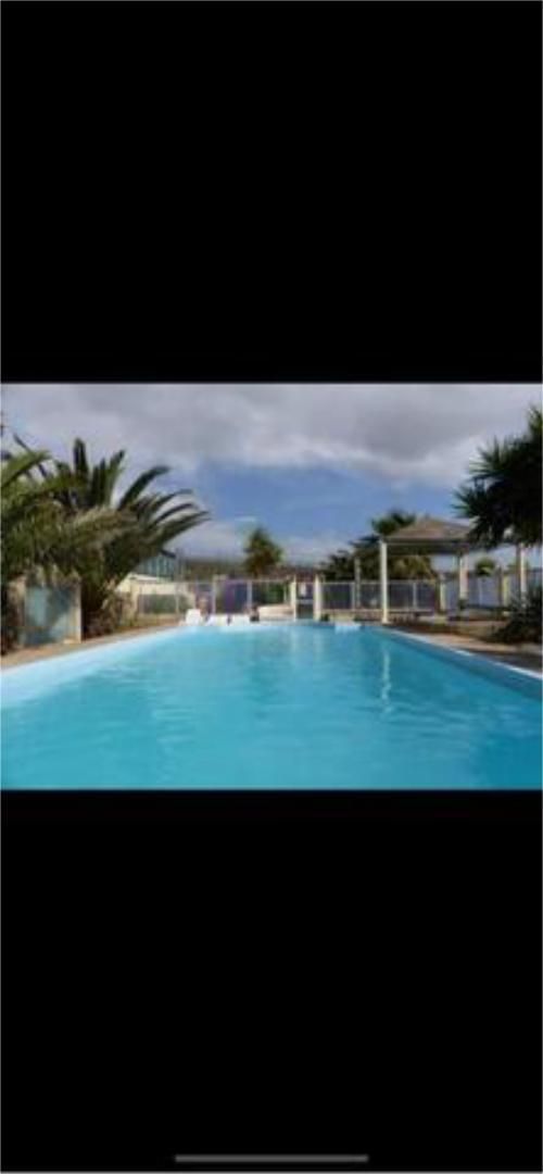 Swimming pool of Study to rent in Arico  with Private garden, Terrace and Swimming Pool