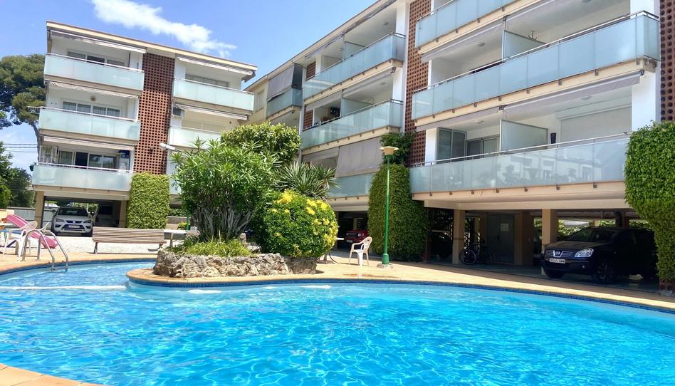 Flat to rent in Passeig de la Marina, 132, Lluminetes, Barcelona - image 1 Photo 1 of Flat to rent in Passeig de la Marina, 132, Lluminetes, Barcelona