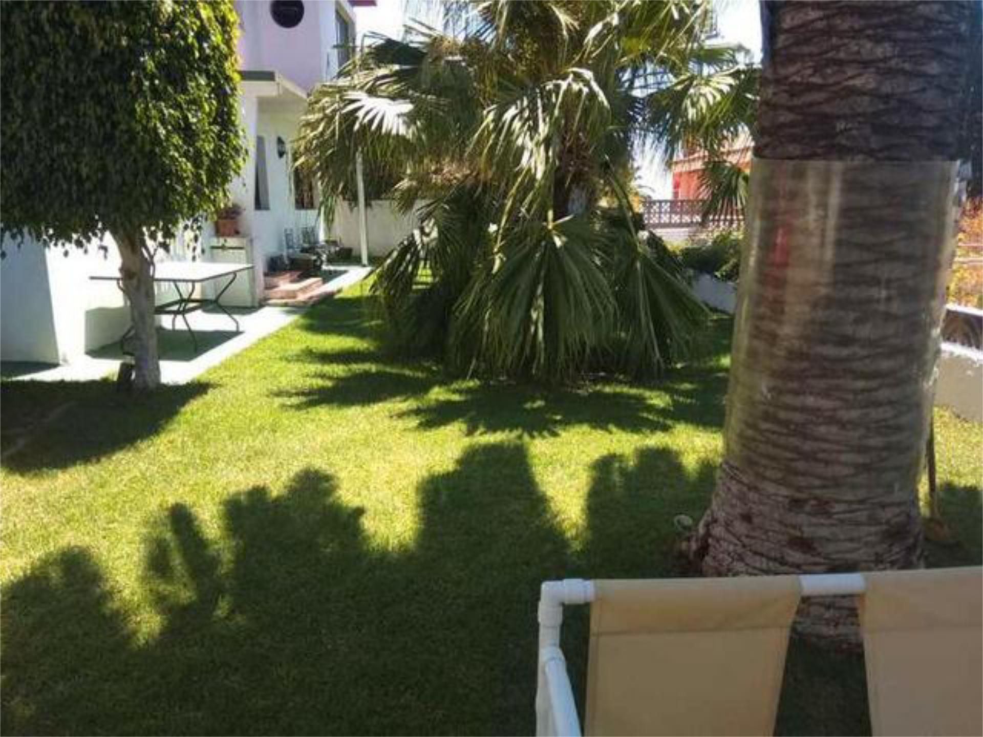 Garden of Apartment to rent in La Matanza de Acentejo  with Private garden, Terrace and Furnished