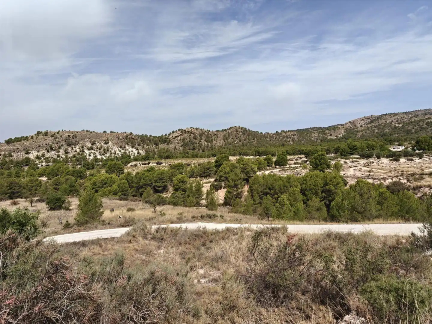 Finca rústica en venda a Partida Caprala, 25, Petrer Finca rústica en venda en Petrer