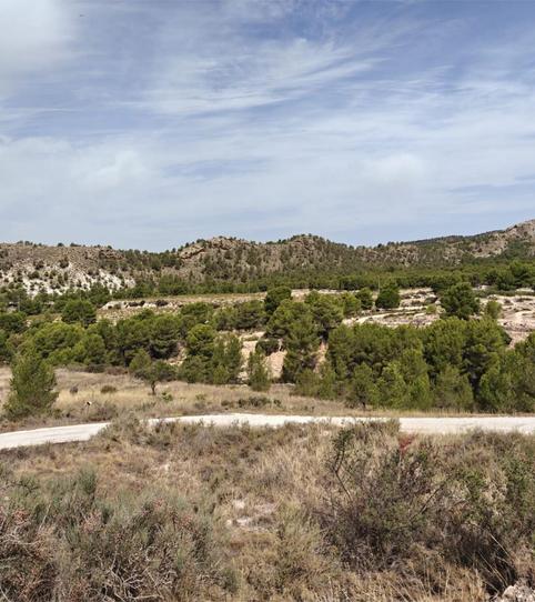 Foto 2 von Country house zum Verkauf in Partida Caprala, 25, Petrer, Alicante