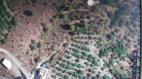 Photo 3 of Flat for sale in Diseminado Pago Benamar, 2874, Torrox Pueblo, Málaga