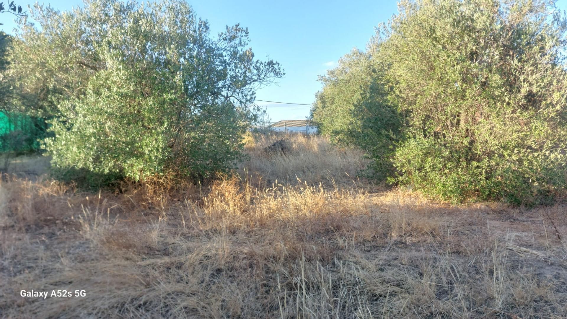 Grundstücke zum verkauf in La Puebla del Río