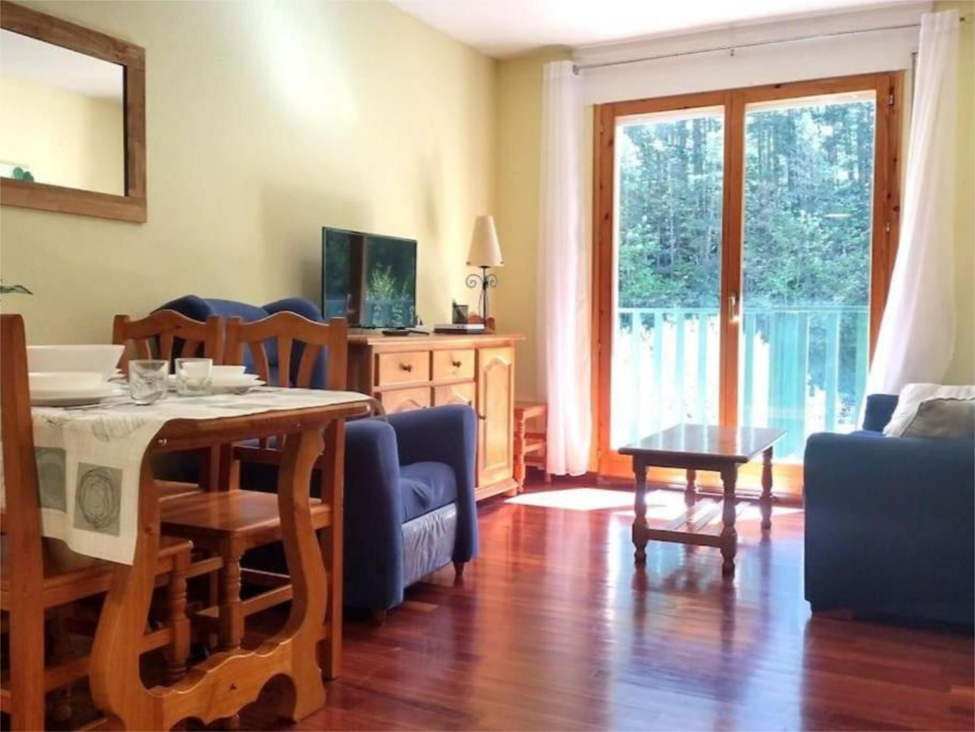 Sala d'estar de Apartament de lloguer en Canfranc amb Calefacció, Parquet i Moblat