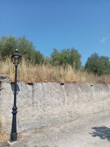 Finca rústica en Venta en Calle Carretera, 66 en La Toba