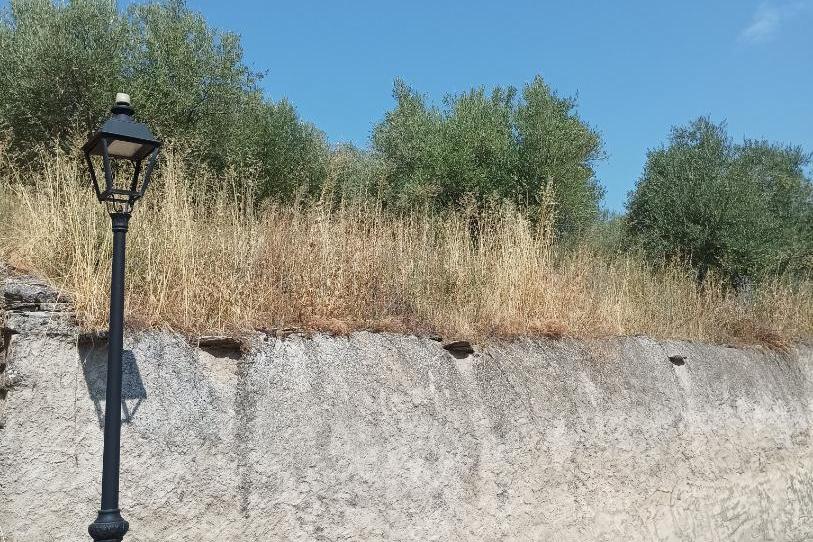 Finca rústica en venda a Calle Carretera, 66, La Toba, Guadalajara - imatge 1 Foto 1 de Finca rústica en venda a Calle Carretera, 66, La Toba, Guadalajara