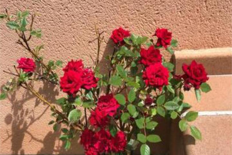 Foto 1 de Casa adosada en venda a Ituero y Lama, Segovia