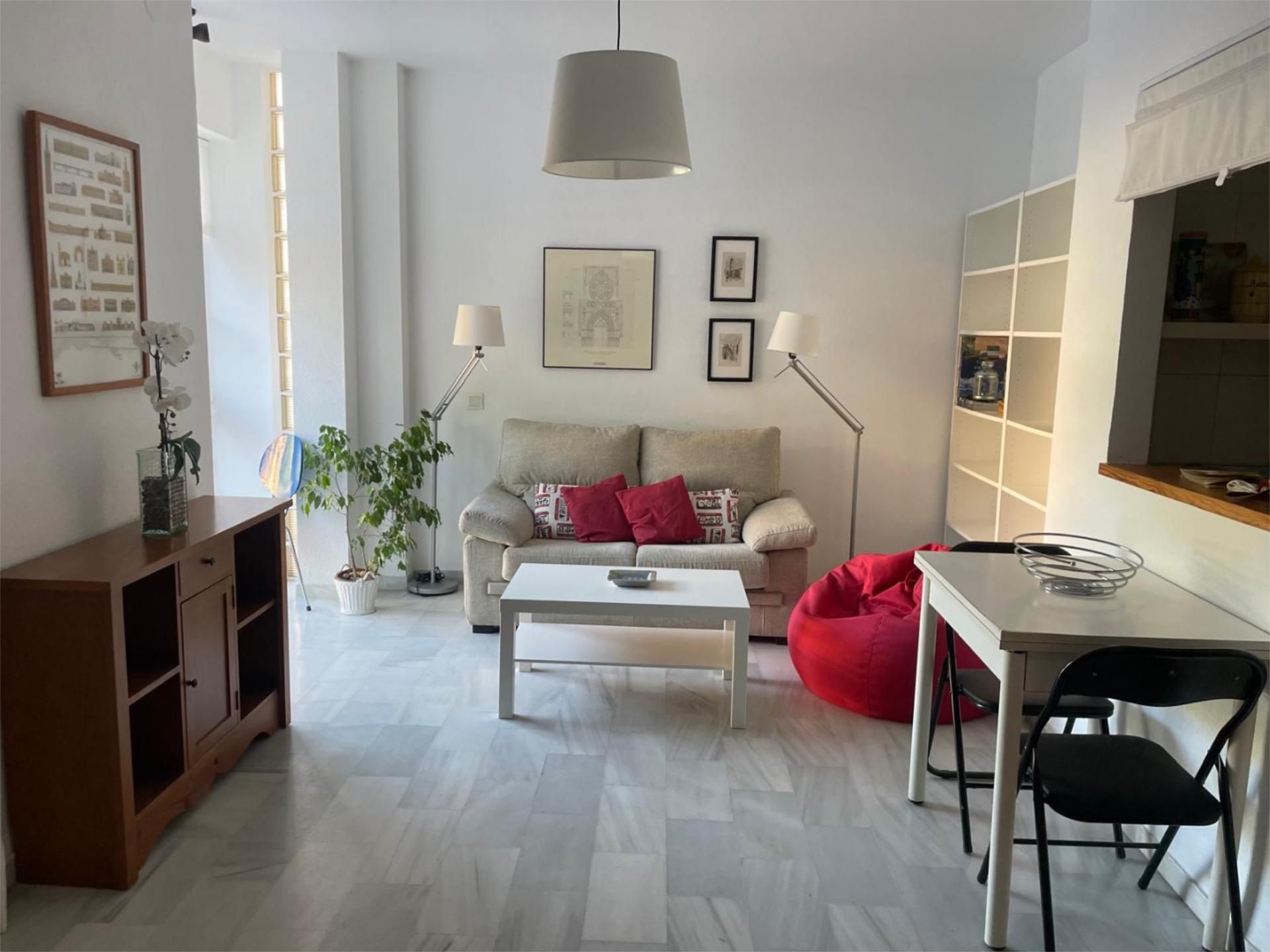 Sala de estar de Apartamento de alquiler en Málaga Capital con Aire acondicionado, Calefacción y Amueblado