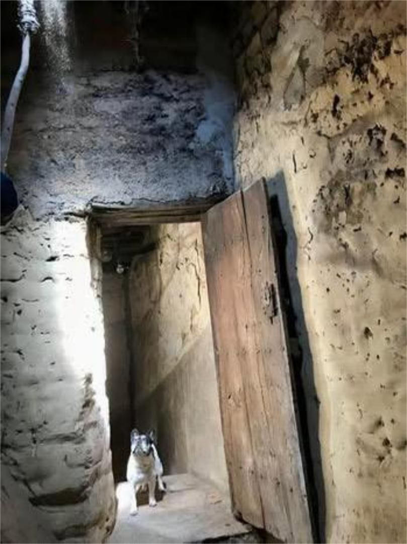 Casa o xalet en venda en Guijo de Coria