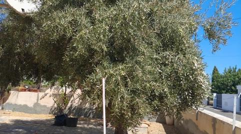 Foto 3 de Casa o xalet de lloguer a Carrer Calle Camino del Palmeral, 14d, El Palmeral, Almería