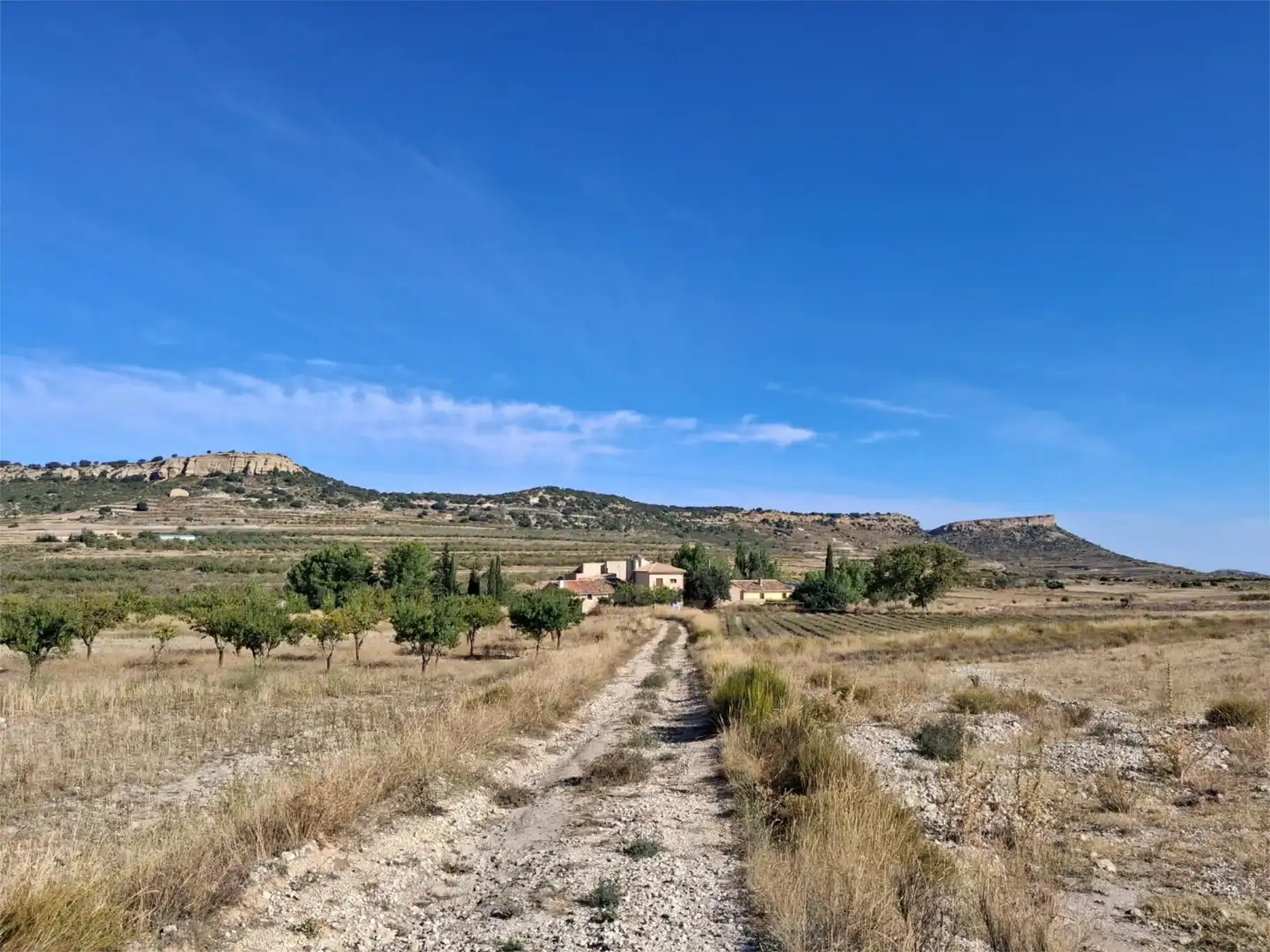 Detached homes for sale in Diseminado las Lorigas, 3, Moratalla Exterior view of Detached homes for sale in Moratalla