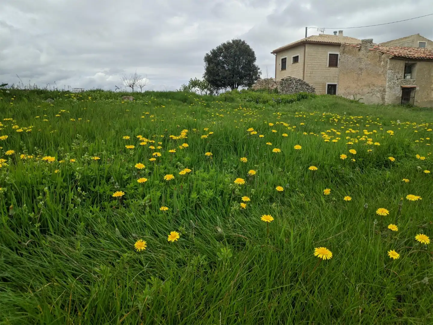 Detached homes for sale in Diseminado las Lorigas, 3, Moratalla Detached homes for sale in Moratalla