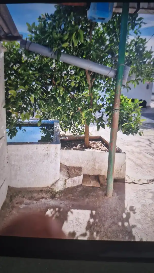 Planta baixa en venda a Calle Almardà, 2, Bornos Planta baixa en venda en Bornos amb Aire condicionat i Piscina