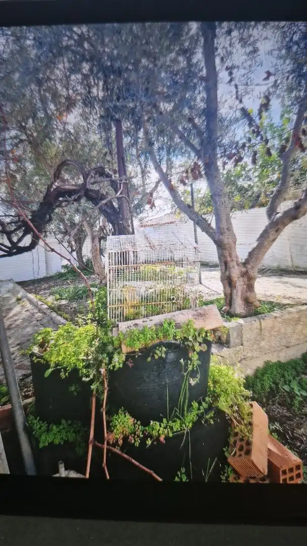 Planta baixa en venda a Calle Almardà, 2, Bornos Jardí de Planta baixa en venda en Bornos amb Aire condicionat i Piscina