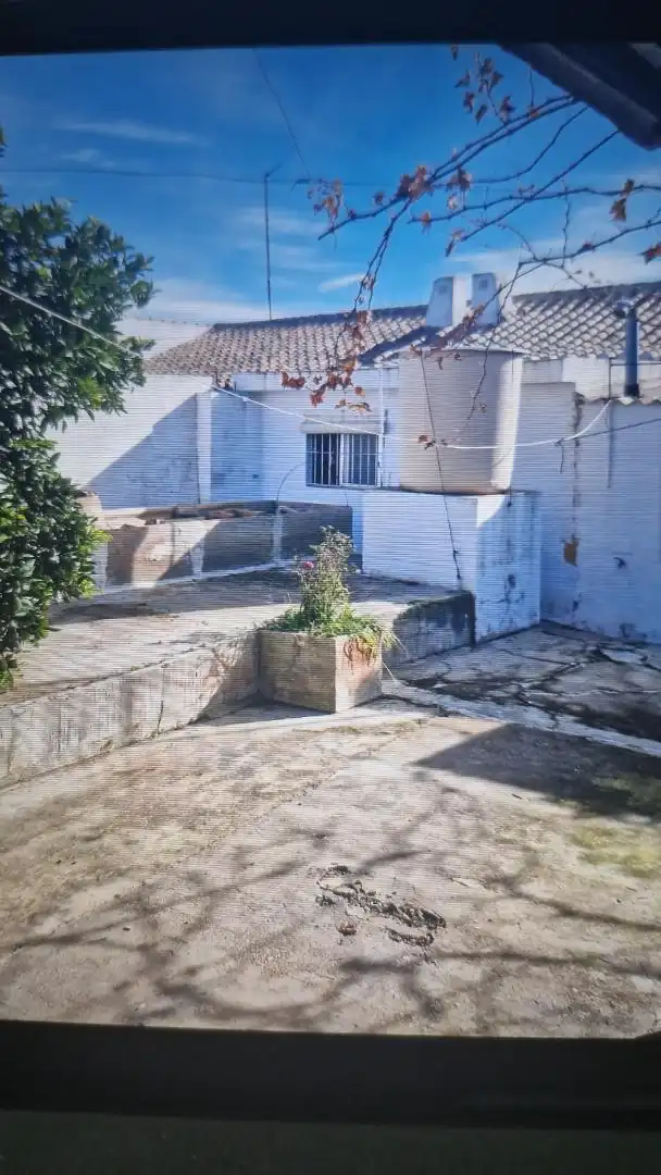 Planta baixa en venda a Calle Almardà, 2, Bornos Vista exterior de Planta baixa en venda en Bornos amb Aire condicionat i Piscina