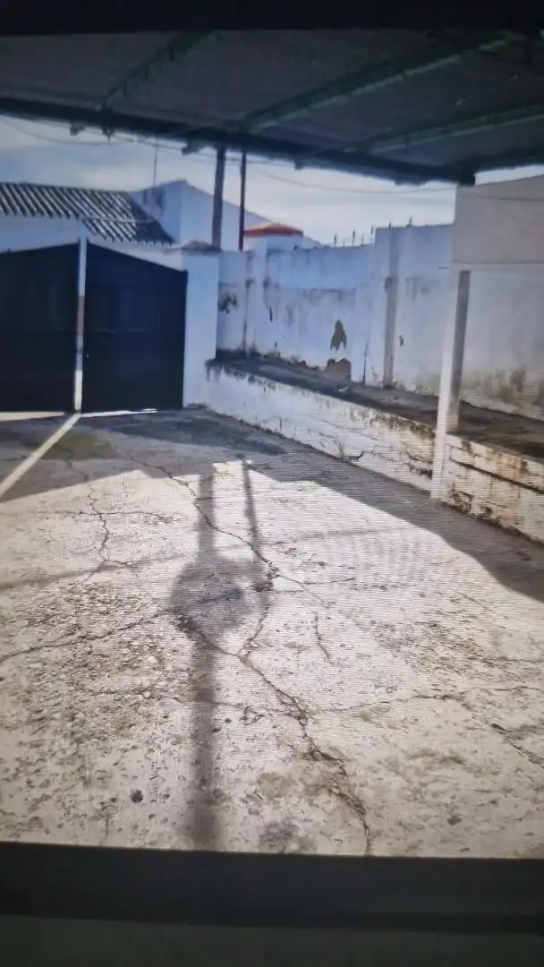 Planta baixa en venda a Calle Almardà, 2, Bornos Vista exterior de Planta baixa en venda en Bornos amb Aire condicionat i Piscina