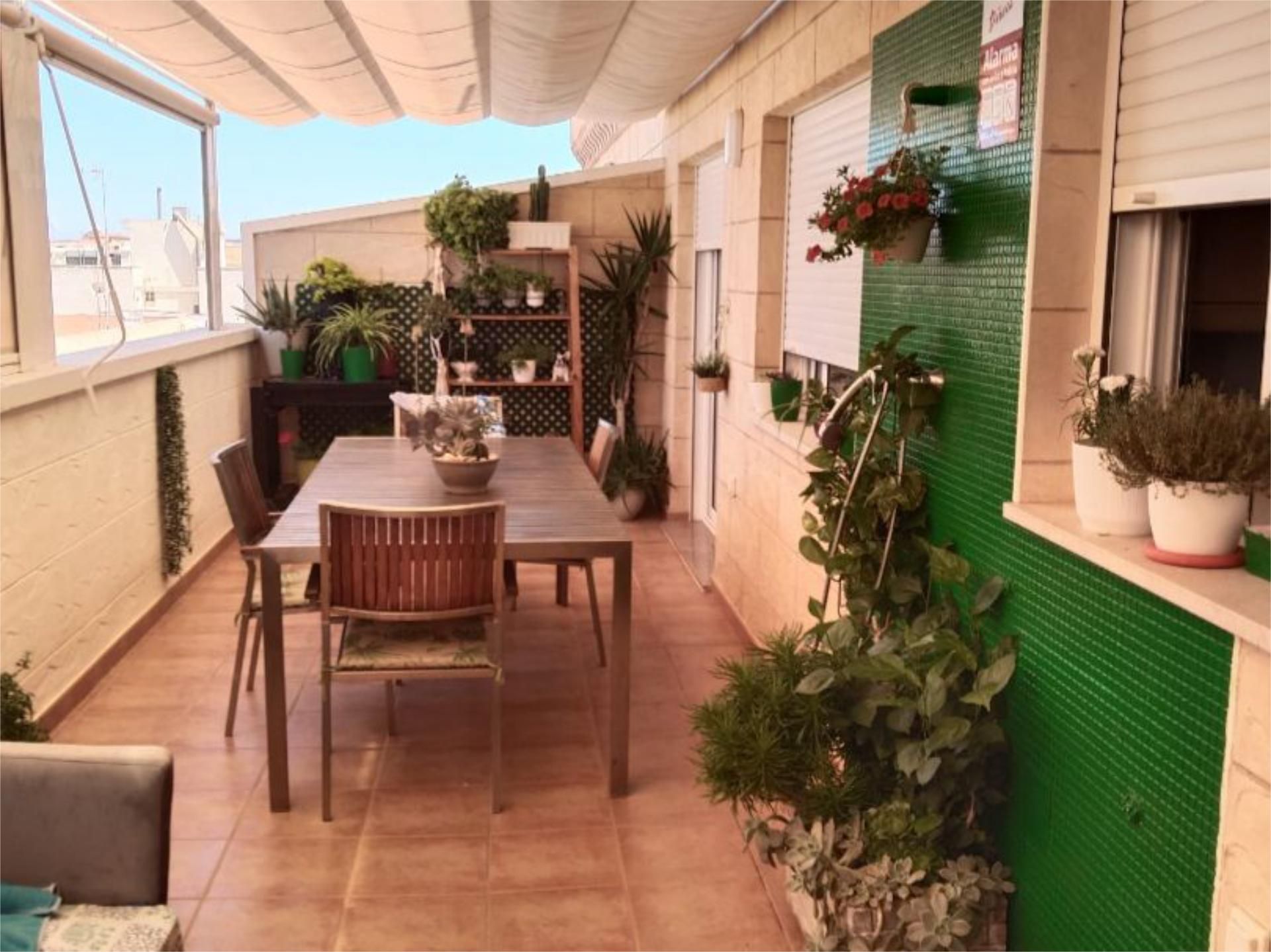 Terrassa de Pis de lloguer en Torrevieja amb Aire condicionat, Calefacció i Terrassa