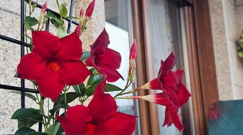 Apartment to rent in Po-550, 34, Noalla, Pontevedra - image 2 Photo 2 of Apartment to rent in Po-550, 34, Noalla, Pontevedra