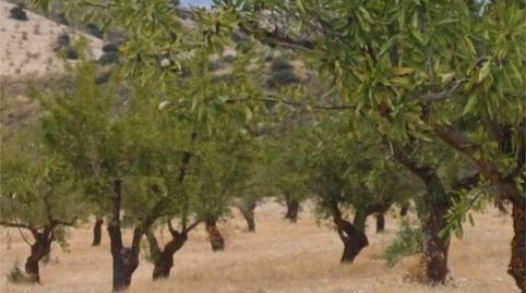 Photo 2 of Flat for sale in Calle Nueva, 10, Cacín, Granada