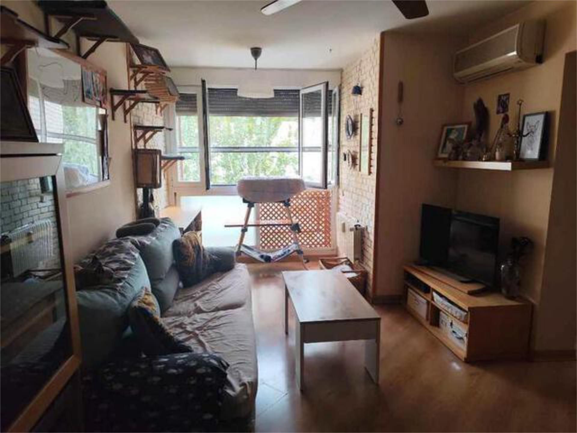 Living room of Flat for sale in  Madrid Capital  with Heating, Private garden and Furnished