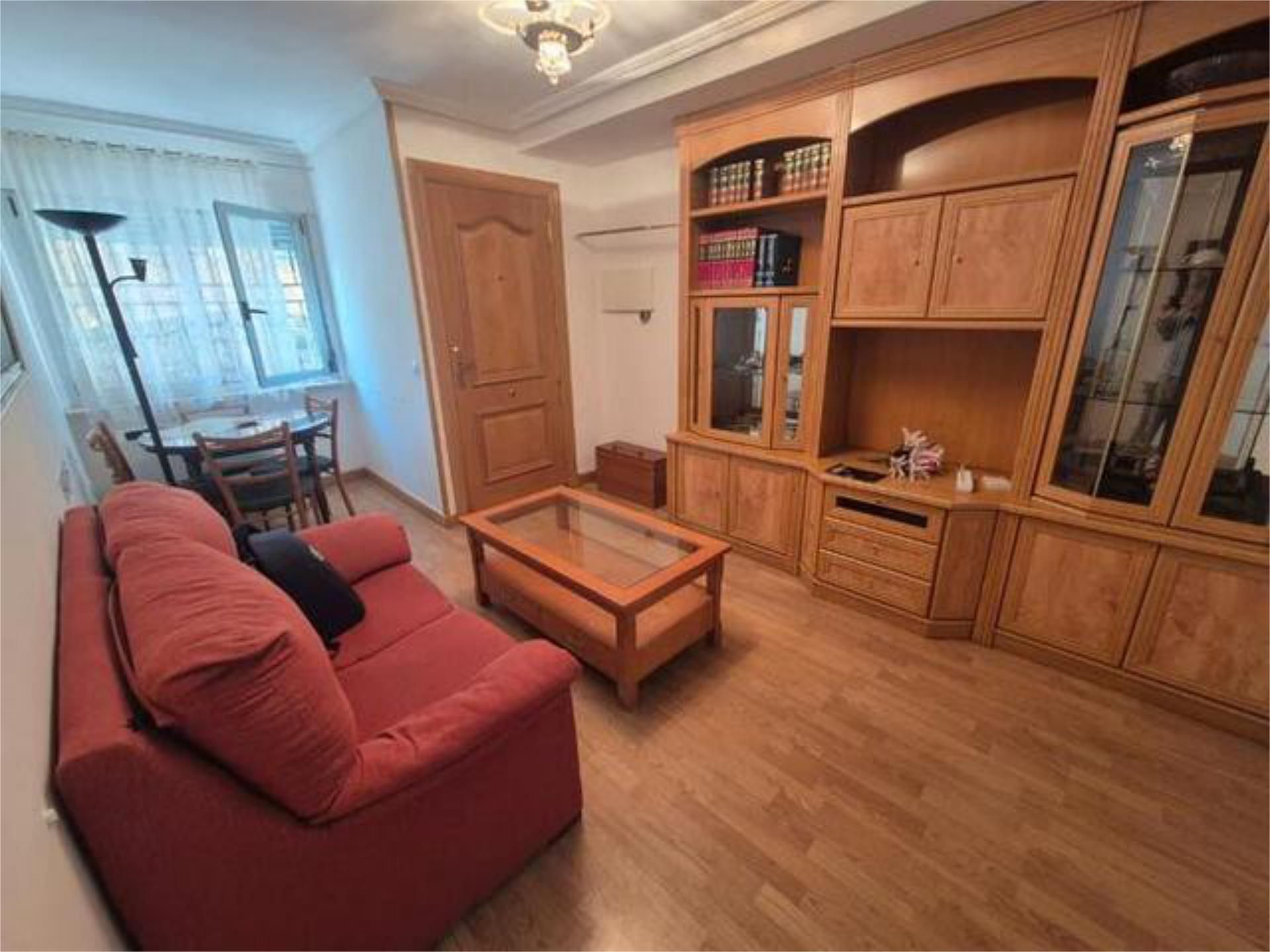 Sala d'estar de Apartament de lloguer en Salamanca Capital