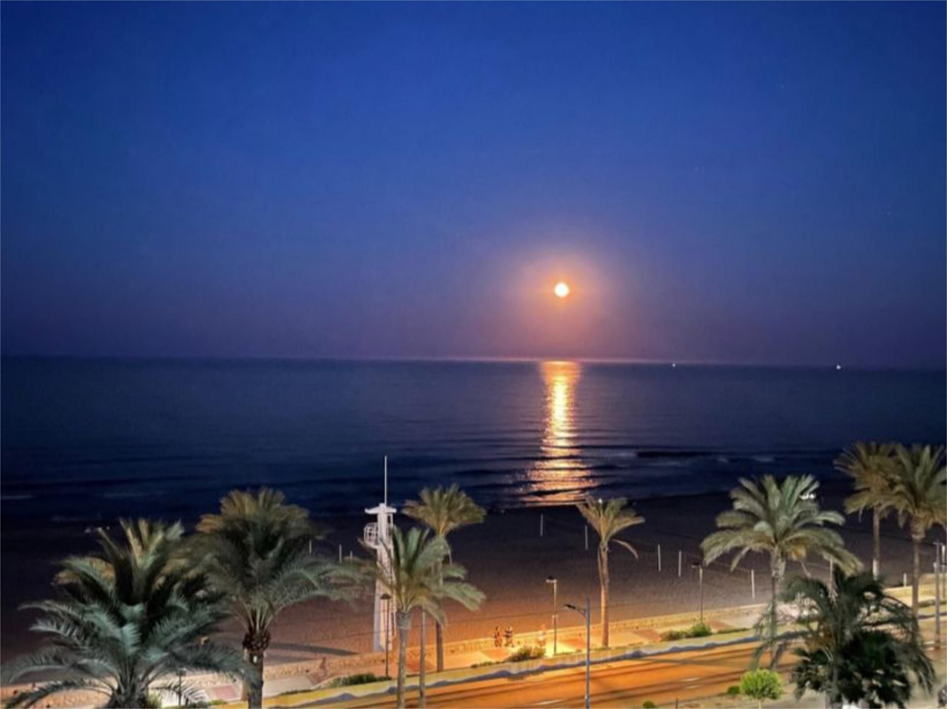 Flat for rent in Carrer Doctor Severo Ochoa, 3, Playa Muchavista Flat for rent in Carrer Doctor Severo Ochoa, 3, Playa Muchavista