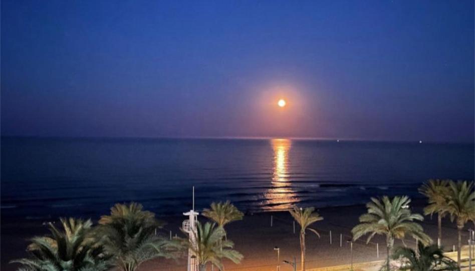 Wohnung zur Miete in Carrer Doctor Severo Ochoa, 3, Playa Muchavista, El Campello - Bild 1 Foto 1 von Wohnung zur Miete in Carrer Doctor Severo Ochoa, 3, Playa Muchavista, El Campello