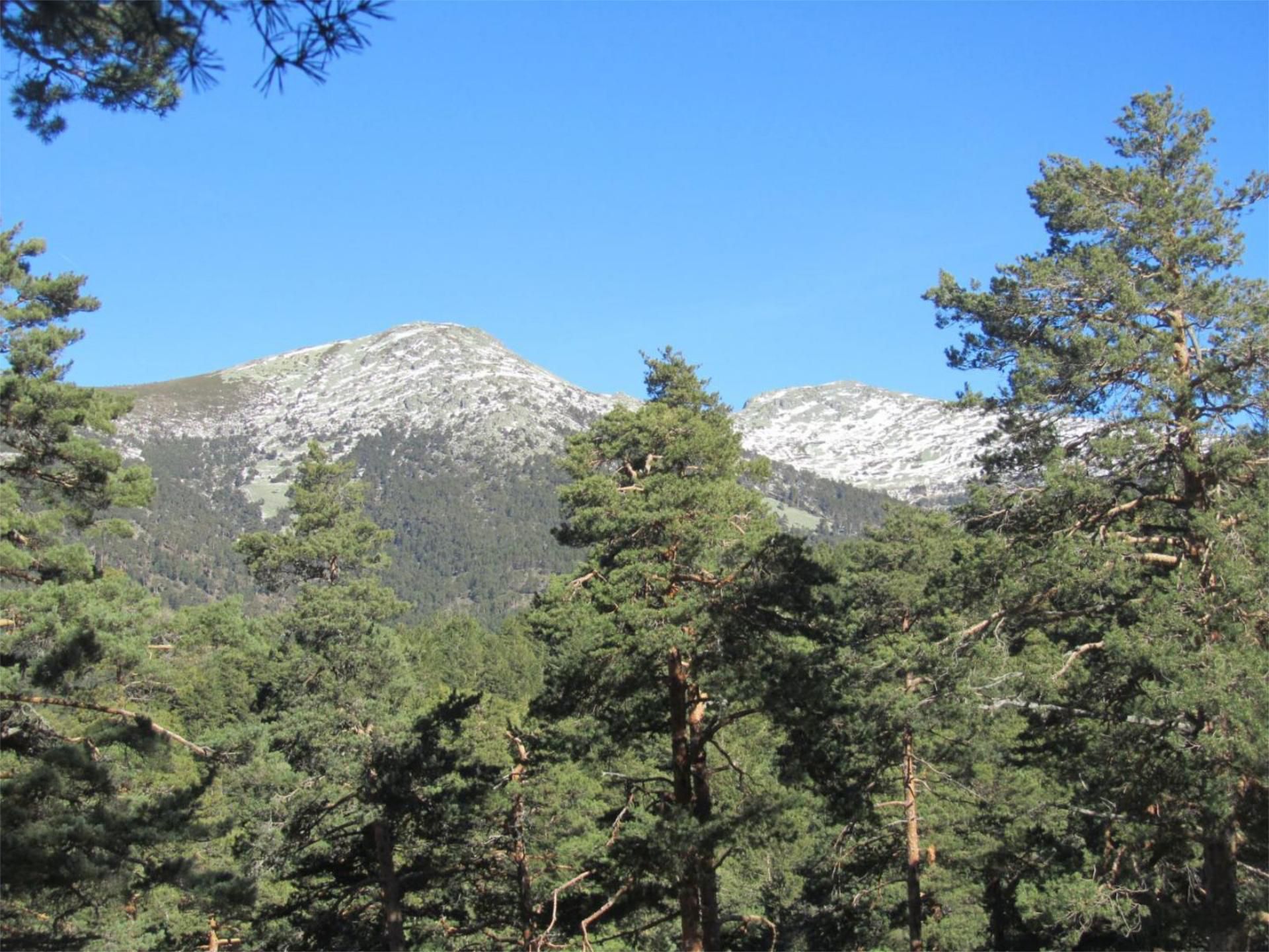 Vista exterior de Casa o xalet de lloguer en El Espinar amb Calefacció, Jardí privat i Parquet
