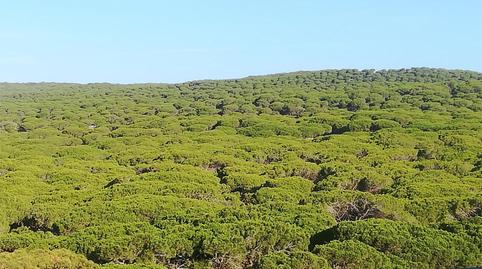 Foto 2 de Àtic en venda a Calle Luis Braille, 86, Barbate ciudad, Cádiz