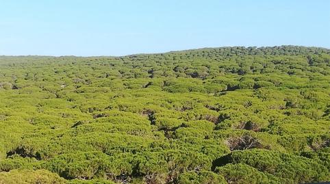 Foto 4 de Àtic en venda a Calle Luis Braille, 86, Barbate ciudad, Cádiz