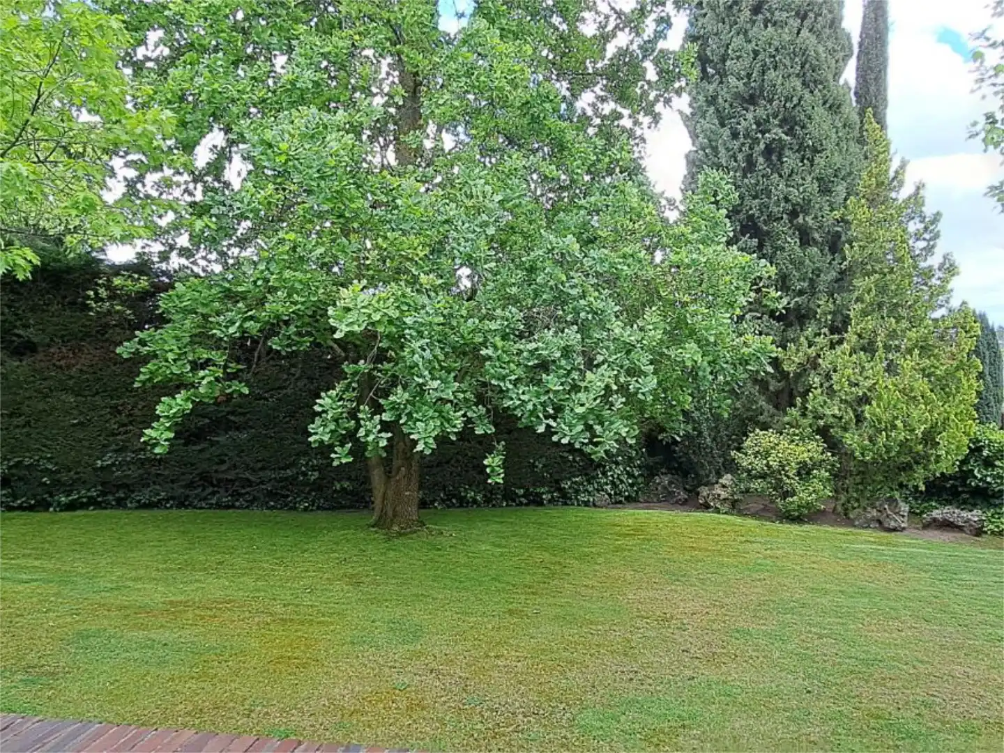 Casa o xalet en venda a Calle Rosa de Los Vientos, 1d, Zona Carretera del Plantío Jardí de Casa o xalet en venda en Majadahonda amb Aire condicionat, Terrassa i Piscina
