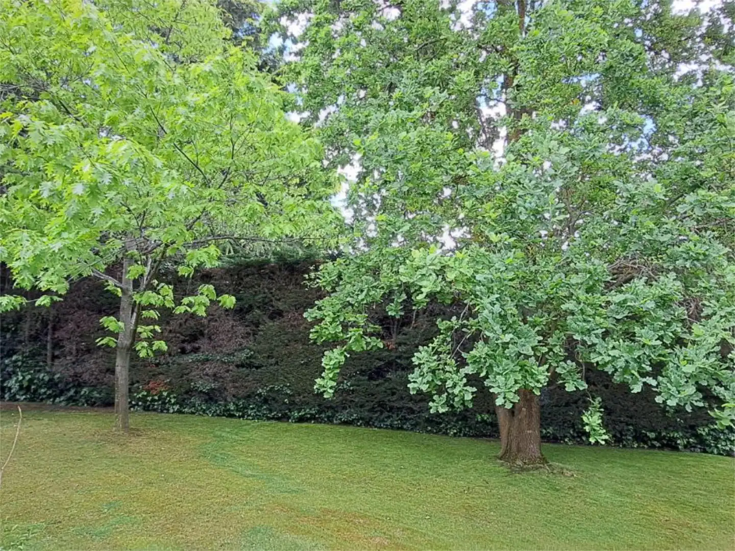 Casa o xalet en venda a Calle Rosa de Los Vientos, 1d, Zona Carretera del Plantío Jardí de Casa o xalet en venda en Majadahonda amb Aire condicionat, Terrassa i Piscina