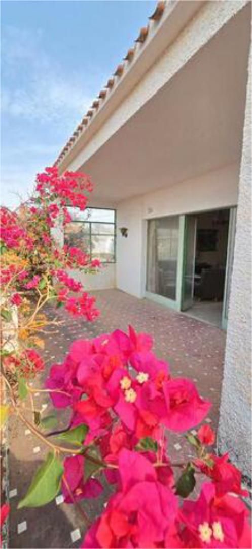 Garden of Single-family semi-detached for sale in Villajoyosa / La Vila Joiosa