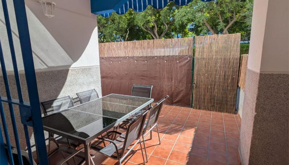 Flat to rent in Avenida Reina Sofía, 4, Costa Ballena - Largo Norte, Cádiz - image 1 Photo 1 of Flat to rent in Avenida Reina Sofía, 4, Costa Ballena - Largo Norte, Cádiz