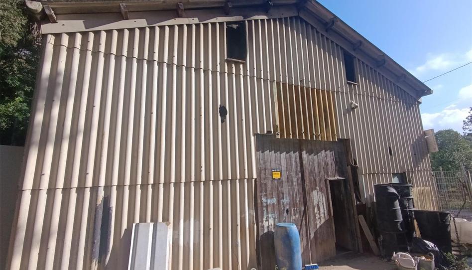 Industrial buildings for sale in Camí de Can Sardà, 44, Montflorit, Barcelona - image 1 Photo 1 of Industrial buildings for sale in Camí de Can Sardà, 44, Montflorit, Barcelona