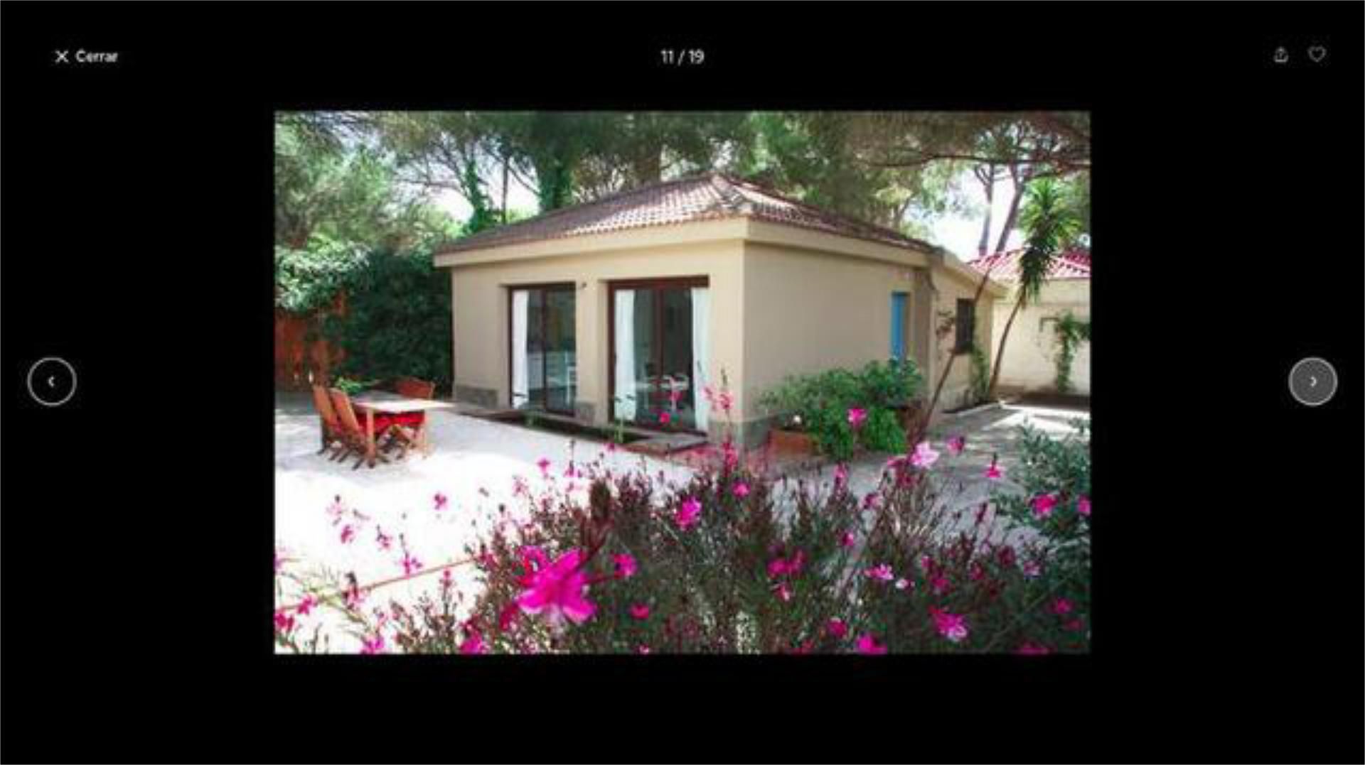 Garden of Single-family semi-detached to rent in Chiclana de la Frontera  with Private garden