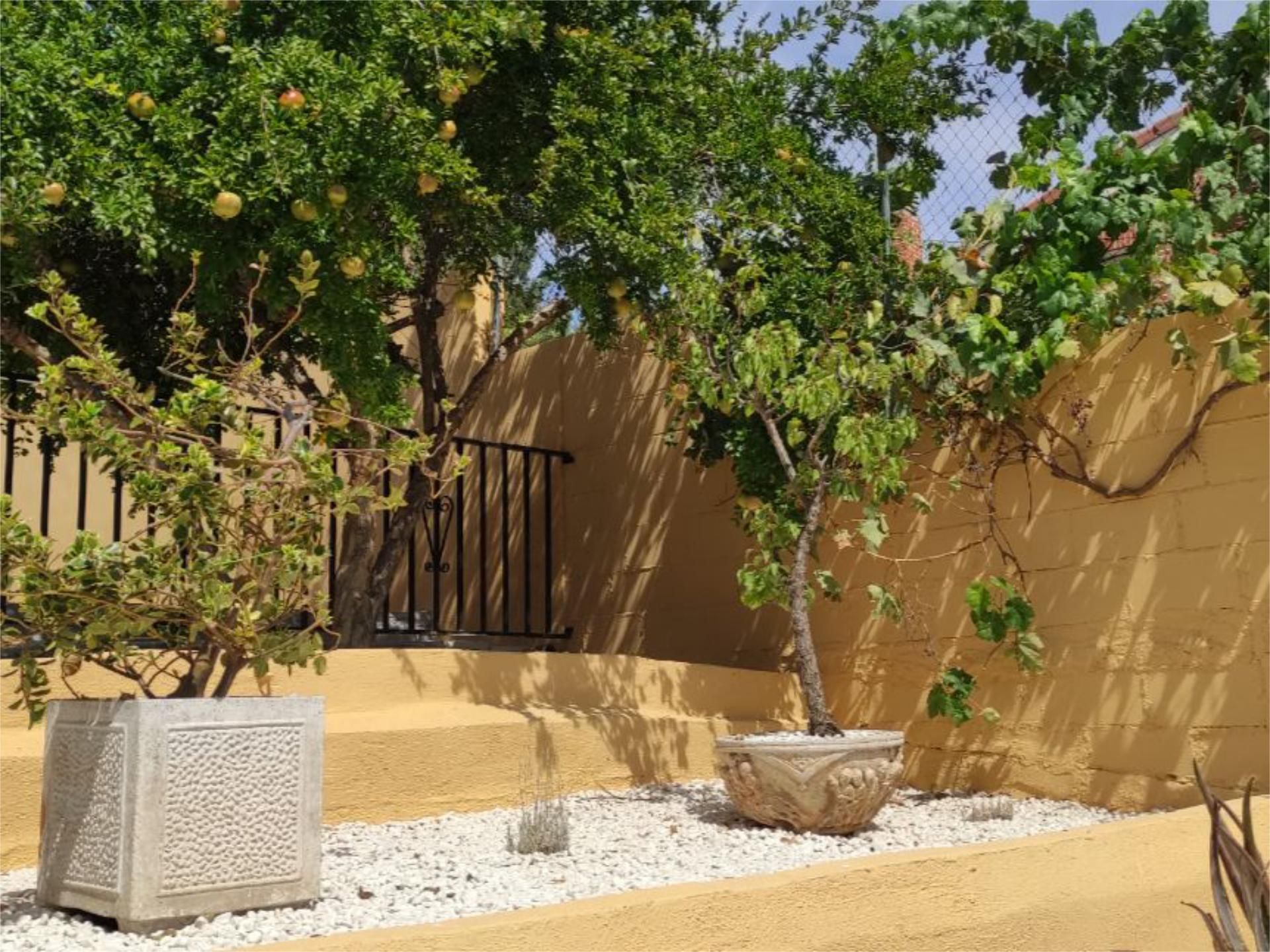 Jardín de Casa o chalet de alquiler en Meco con Aire acondicionado, Calefacción y Jardín privado