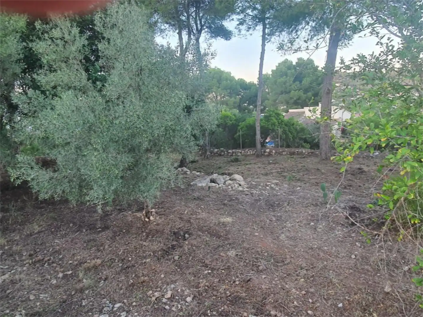 Houses for sale in Calle Lluca, 14, Partides comunes - Adsubia Houses for sale in Jávea / Xàbia with Heating, Private garden and Terrace