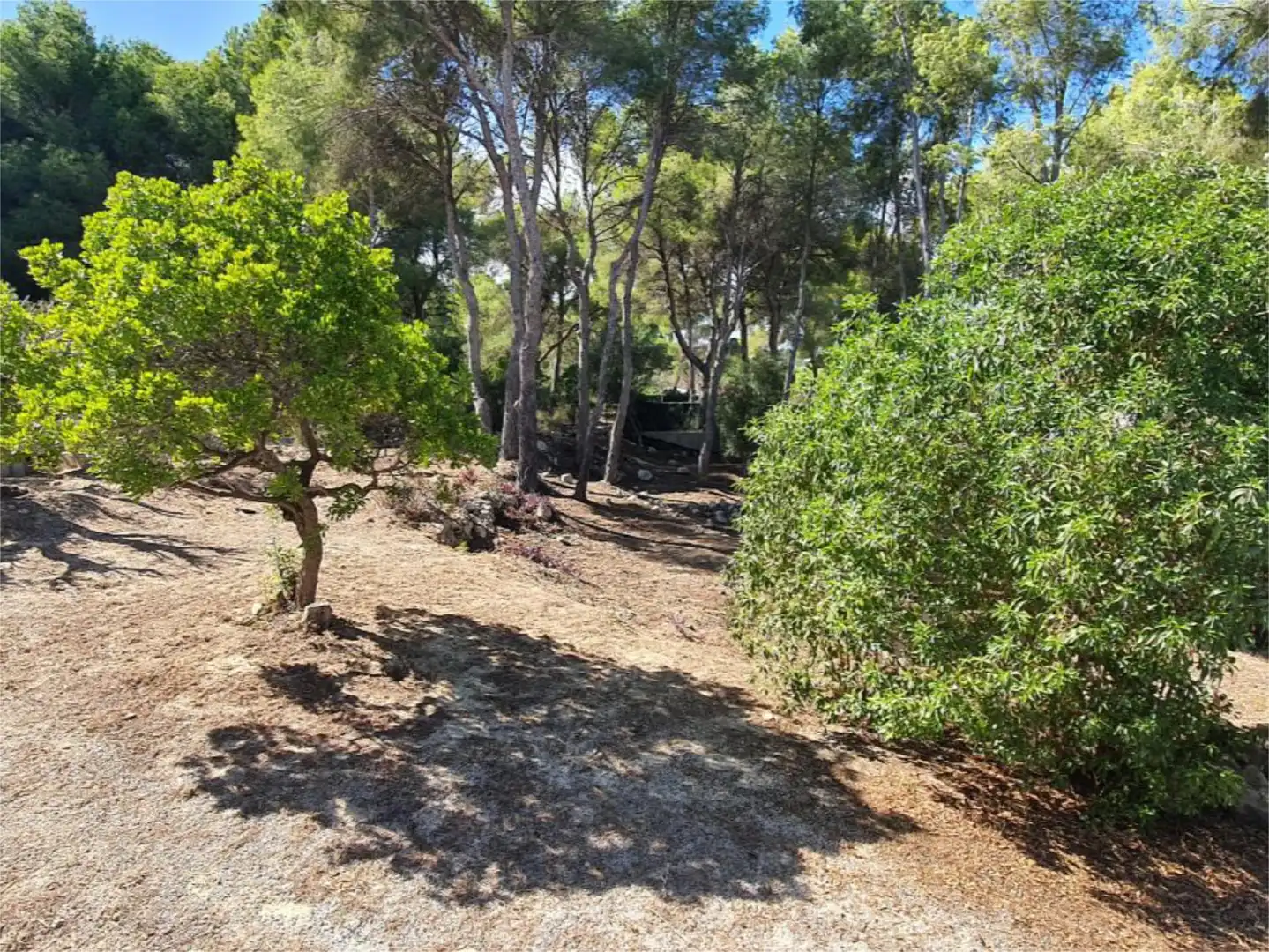 Houses for sale in Calle Lluca, 14, Partides comunes - Adsubia Houses for sale in Jávea / Xàbia with Heating, Private garden and Terrace