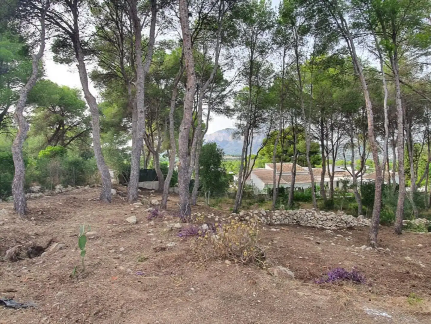 Houses for sale in Calle Lluca, 14, Partides comunes - Adsubia Houses for sale in Jávea / Xàbia with Heating, Private garden and Terrace