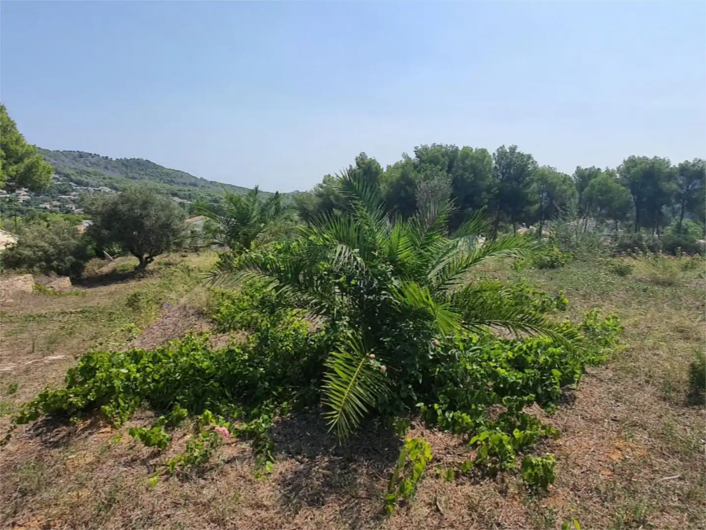 Houses for sale in Calle Lluca, 14, Partides comunes - Adsubia Houses for sale in Jávea / Xàbia with Heating, Private garden and Terrace